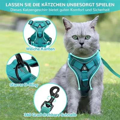 IntiMeg Harnais réglable anti-évasion pour chat avec laisse