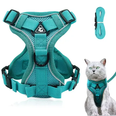 IntiMeg Harnais réglable anti-évasion pour chat avec laisse