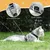 IntiMeg Harnais et laisse pour chat