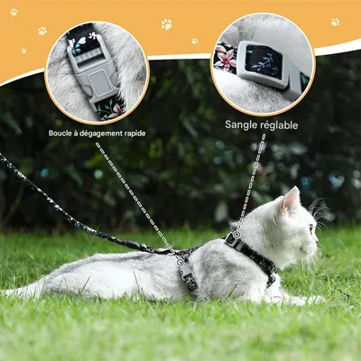 IntiMeg Harnais et laisse pour chat
