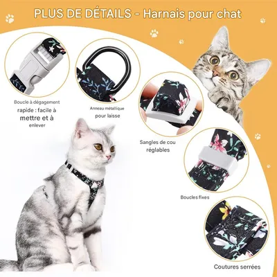 IntiMeg Harnais et laisse pour chat