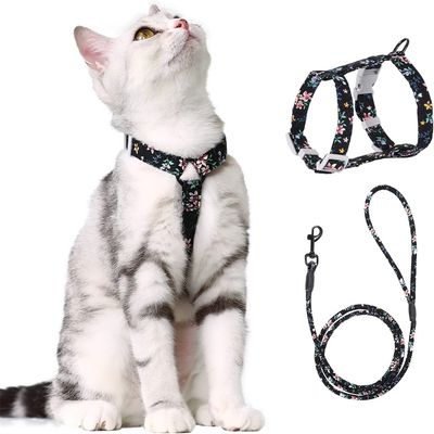 IntiMeg Harnais et laisse pour chat S