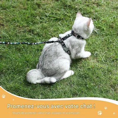 IntiMeg Harnais et laisse pour chat