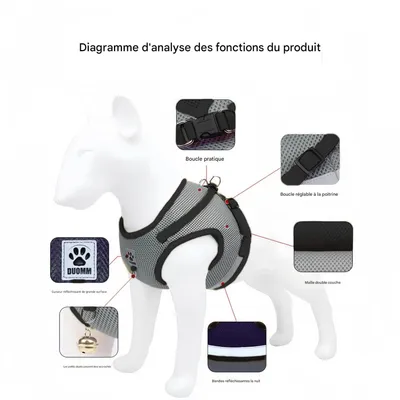 FurryFusion Harnais pour chat