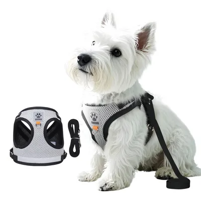 FurryFusion Harnais pour chat