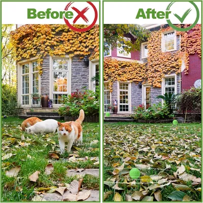 IntiMeg Boules anti-chats en formule à menthe