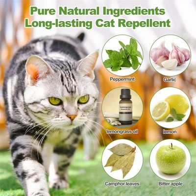IntiMeg Boules anti-chats en formule à menthe