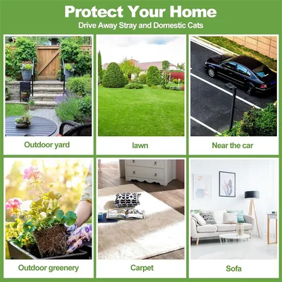 IntiMeg Boules anti-chats en formule à menthe