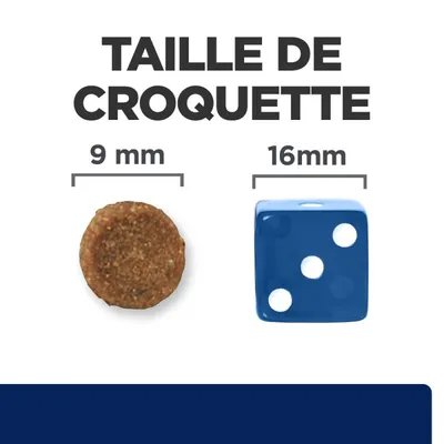 Hill's Croquettes pour chat Adult Prescription Diet Z/D Food Hill's Croquettes pour chat Adult Prescription Diet Z/D Food