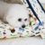 IntiMeg Tente tipi pour animaux de compagnie
