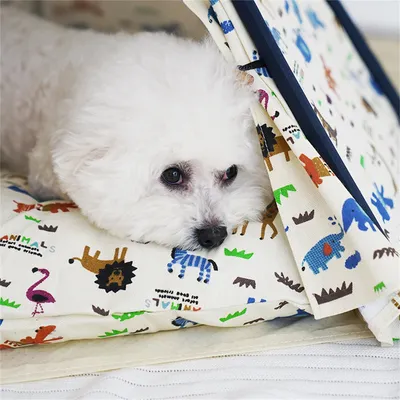 IntiMeg Tente tipi pour animaux de compagnie