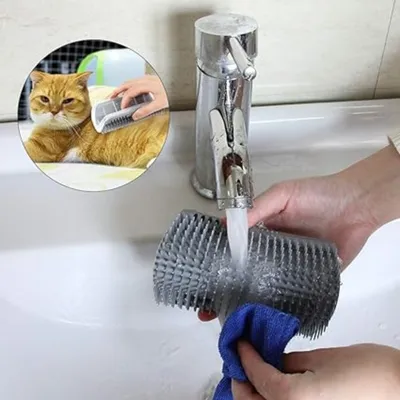 Pet Planet Chats Gratte-Chat