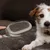 Pet Planet Peigne double face pour chien