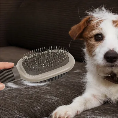 Pet Planet Peigne double face pour chien