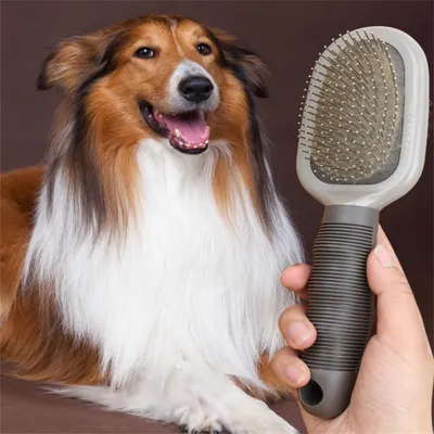 Pet Planet Peigne double face pour chien