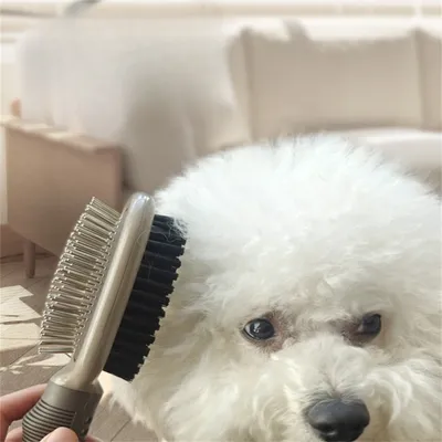 Pet Planet Peigne double face pour chien