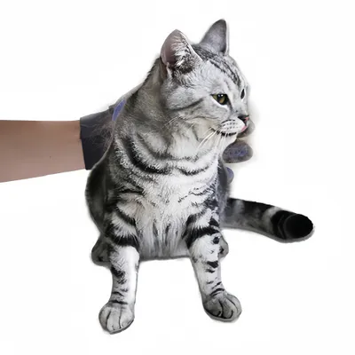 Petopia Gants de toilettage pour chien et chat