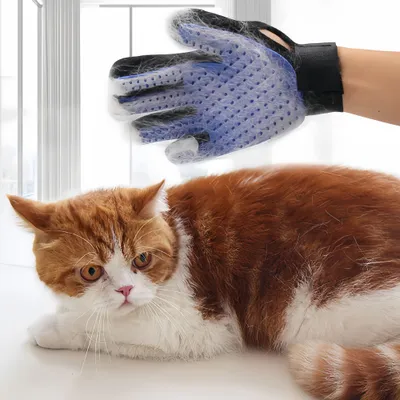 Petopia Gants de toilettage pour chien et chat