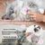 ZooVenture Autonettoyante Brosse Pour Chiens Et Chats