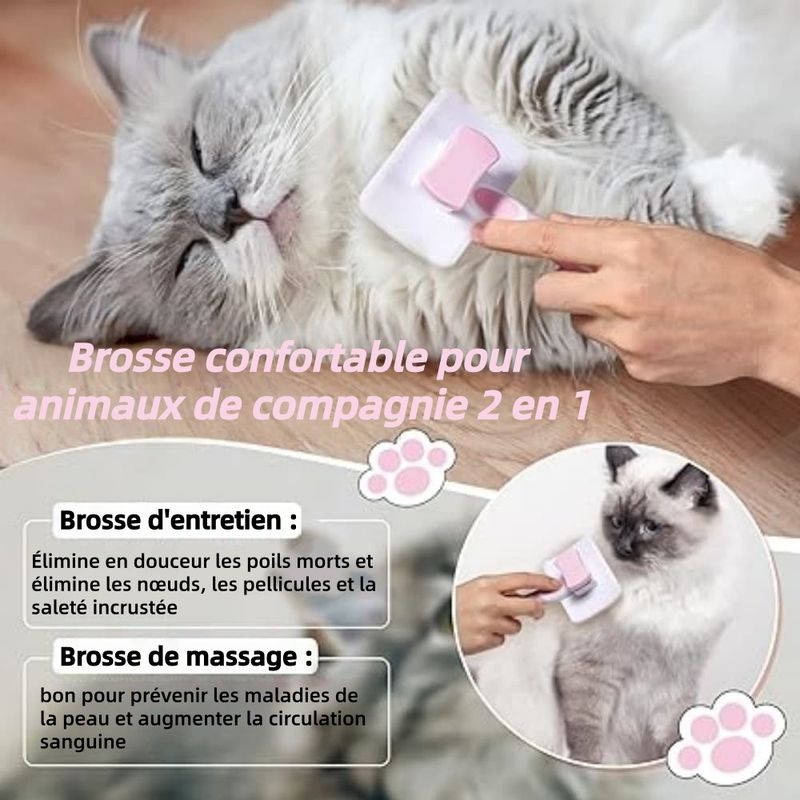 ZooVenture Autonettoyante Brosse Pour Chiens Et Chats
