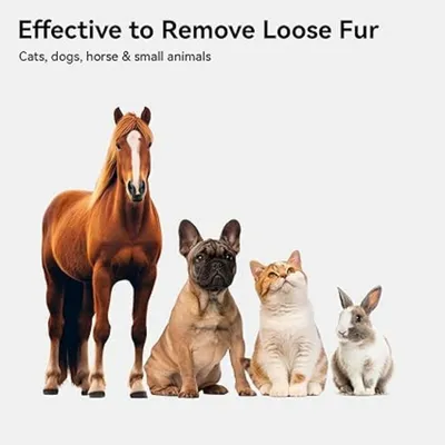 Pet Planet Chats Peigne Pour Éliminer Les Poils Flottants