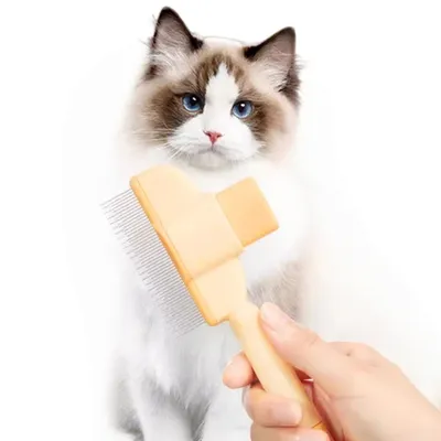 Petopia Brosse de toilettage pour chien et chat