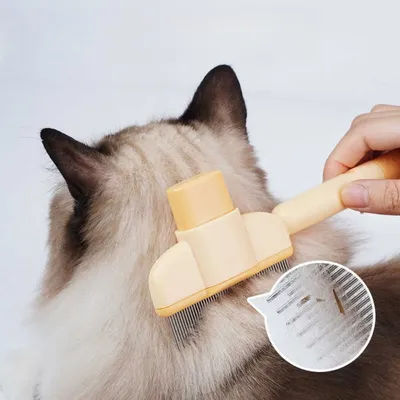 Petopia Brosse de toilettage pour chien et chat