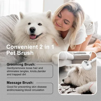 IntiMeg Brosse à vapeur pour chiens et chats