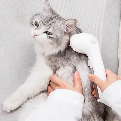 Pet Planet Brush mousse sans rinçage pour chats et chiens