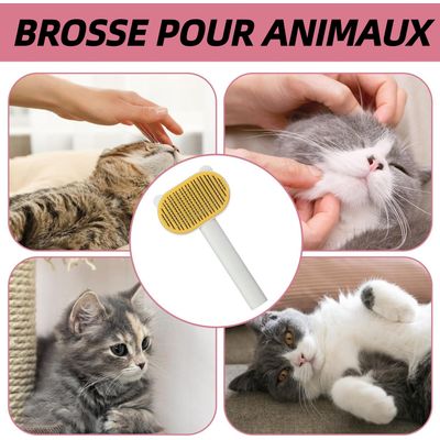 ZooVenture Enlever Poils Brosse Pour Chats Et Chiens