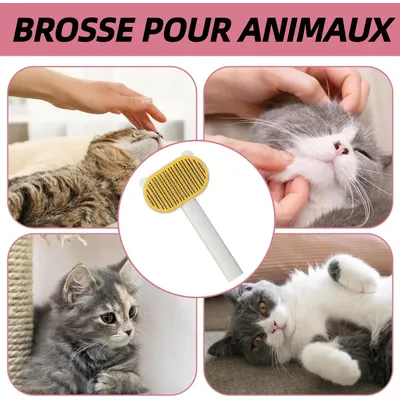Pet Planet ZooVenture Enlever Poils Brosse Pour Chats Et Chiens