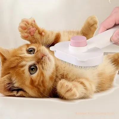 Pet Planet ZooVenture Enlever Poils Brosse Pour Chats Et Chiens