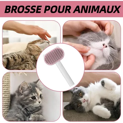 Pet Planet ZooVenture Enlever Poils Brosse Pour Chats Et Chiens