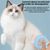 ZooVenture Douce Brosse De Toilettage Pour Chats Et Petits Chiens