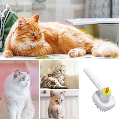 ZooVenture 3 En 1 Brosse À Vapeur Pour Chats Et Chiens