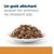 HILL'S -  CHAT ADULT PRESCRIPTION DIETS K/D KIDNEY CARE POULET