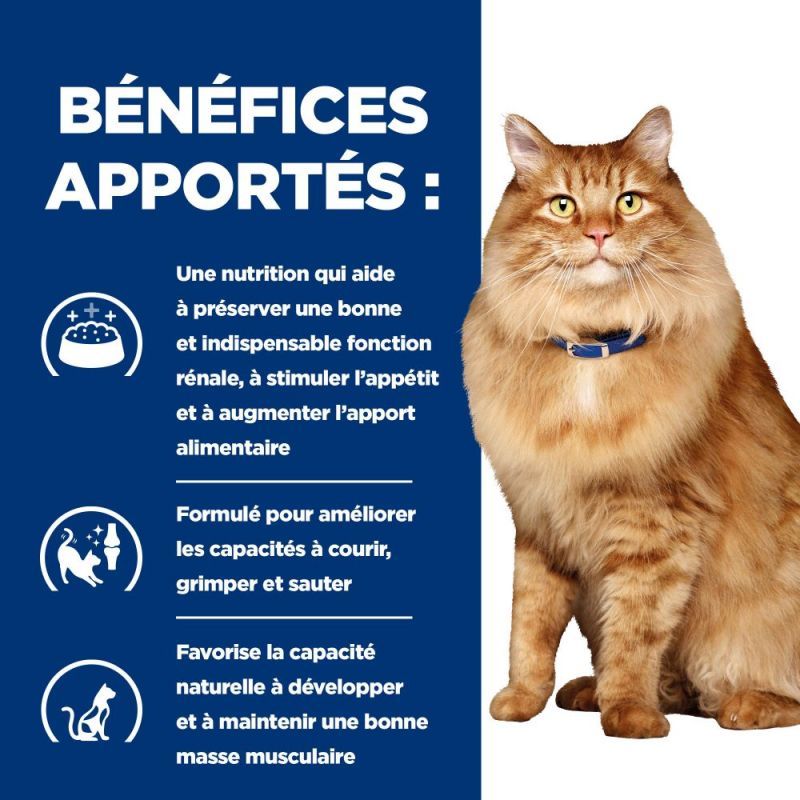 HILL'S -   CHAT ADULT PRESCRIPTION DIETS K/D J/D KIDNEY CARE + MOBILITY