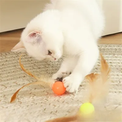 Pet Planet Bâtonnet à plume et ballon élastique pour chat