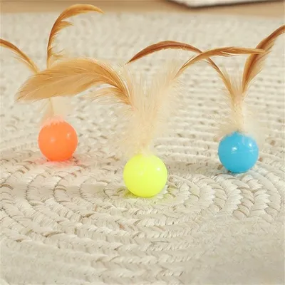 Pet Planet Bâtonnet à plume et ballon élastique pour chat