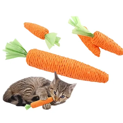 Pet Planet Bâtonnets pour chat en forme de carotte