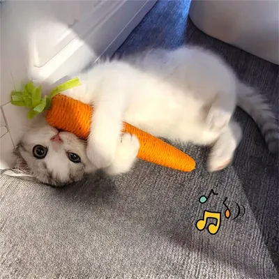Pet Planet Bâtonnets pour chat en forme de carotte