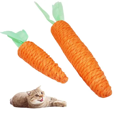 Pet Planet Bâtonnets pour chat en forme de carotte