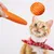 Pet Planet Bâtonnets pour chat en forme de carotte