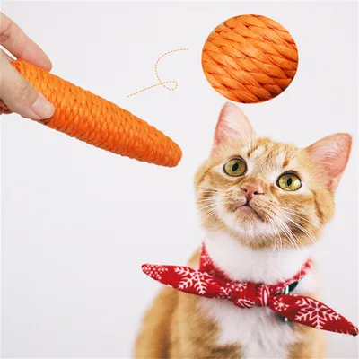 Pet Planet Bâtonnets pour chat en forme de carotte