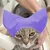 FurryFusion Bonnets de Douche pour Chats