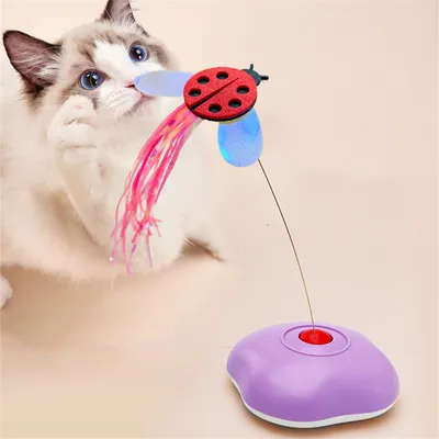 Pet Planet Jouet électronique intelligent pour chatons