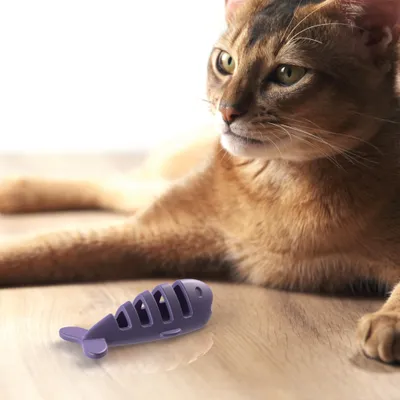 AIKIOU-FISH TREAT TOY VIOLET