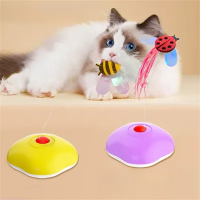 Pet Planet Jouet électronique intelligent pour chatons