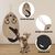 Pet Planet Tapis griffoir pour chat