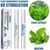 Pet Planet Chiens et Chats Stylo Pour Soigner Les Dents